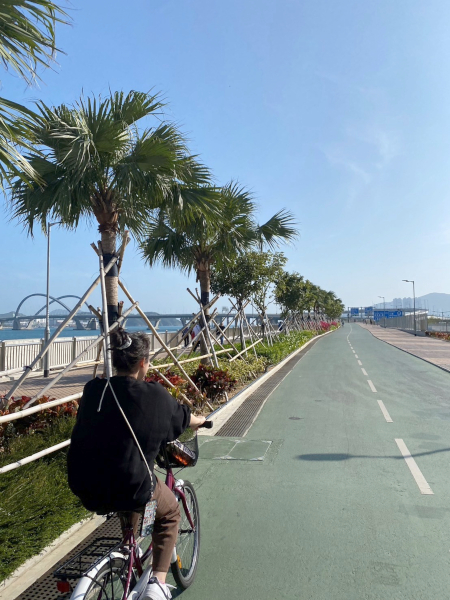 友人とレンタルバイクで海沿いにサイクリングに行った時の写真