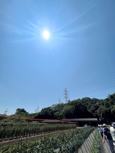快晴の日の農業実習写真