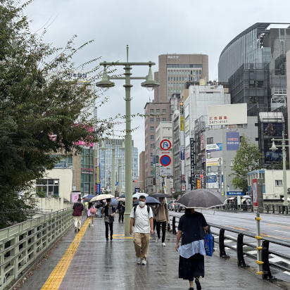 お茶の水橋から明治大学リバティタワーを望む