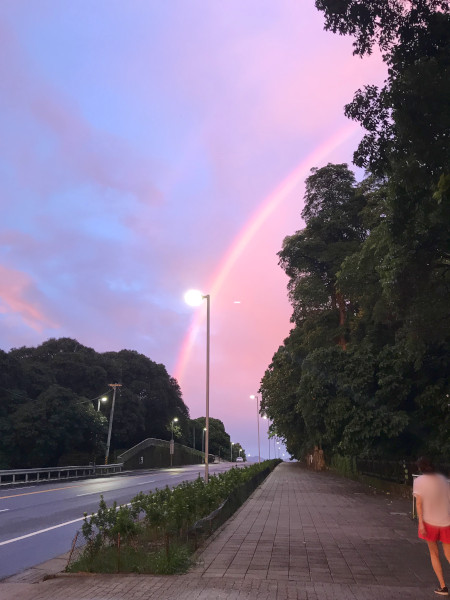 実家の近くで奇跡みたいな美しい虹が出ました