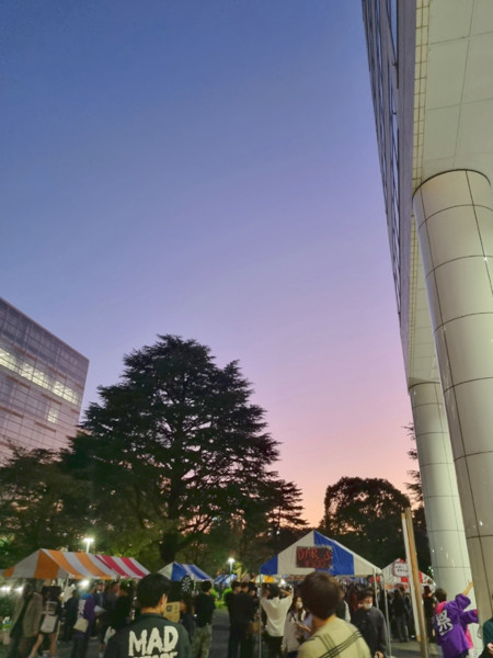 夕方遅くの明大祭にて
