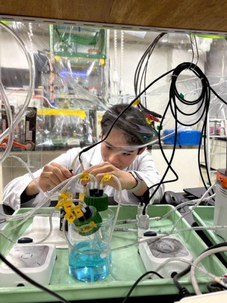 研究室内での実際の研究の様子