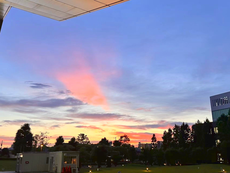 中野キャンパスの夕焼け
