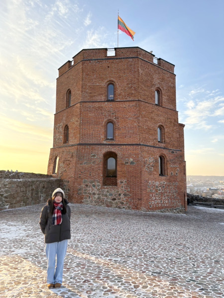 リトアニアのシンボル、ゲディミナス塔