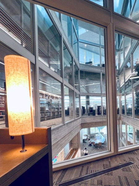 和泉キャンパスの図書館